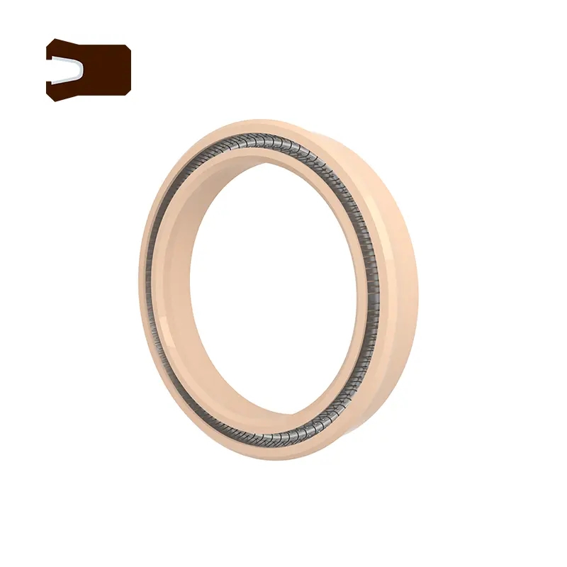 What are the Advantages of this Radial Spring Energized Seals?