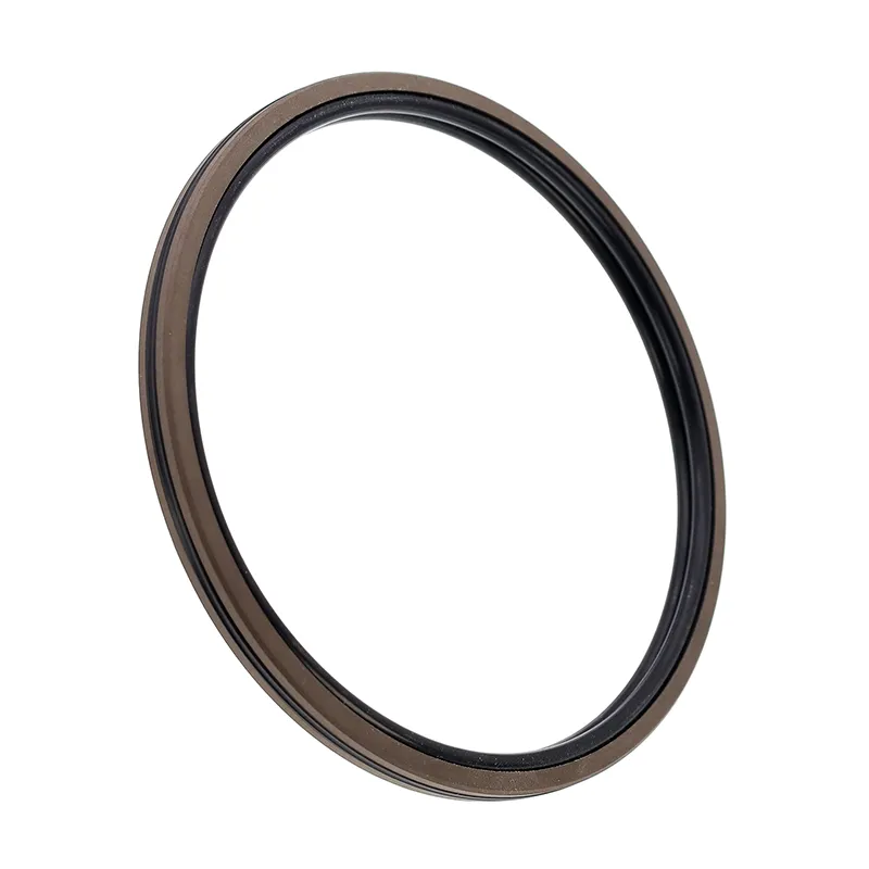AQF Type PTFE Compound Seal