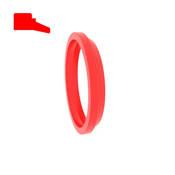 Dust Seal Turning Seals