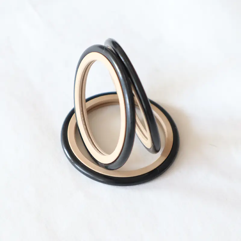 High Pressure Seals For Cement Slurry High Pressure Seals For Cement Slurry