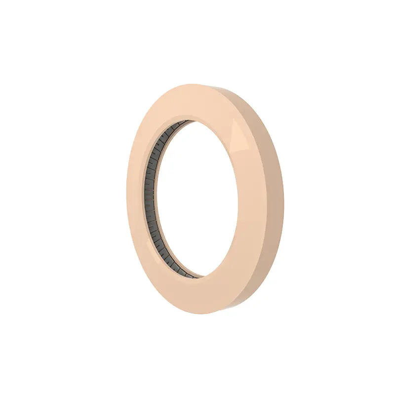 End Flange Spring Energized Seals