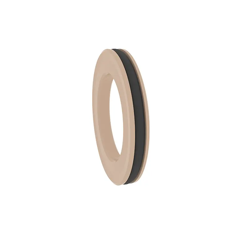 End Flange Spring Energized Seals