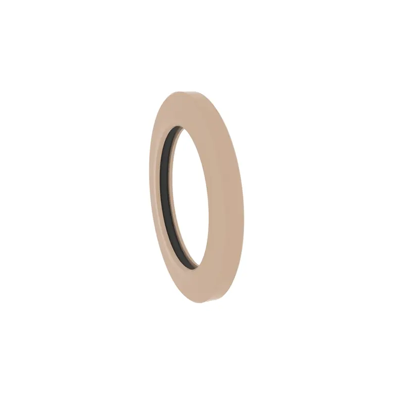 End Flange Spring Energized Seals