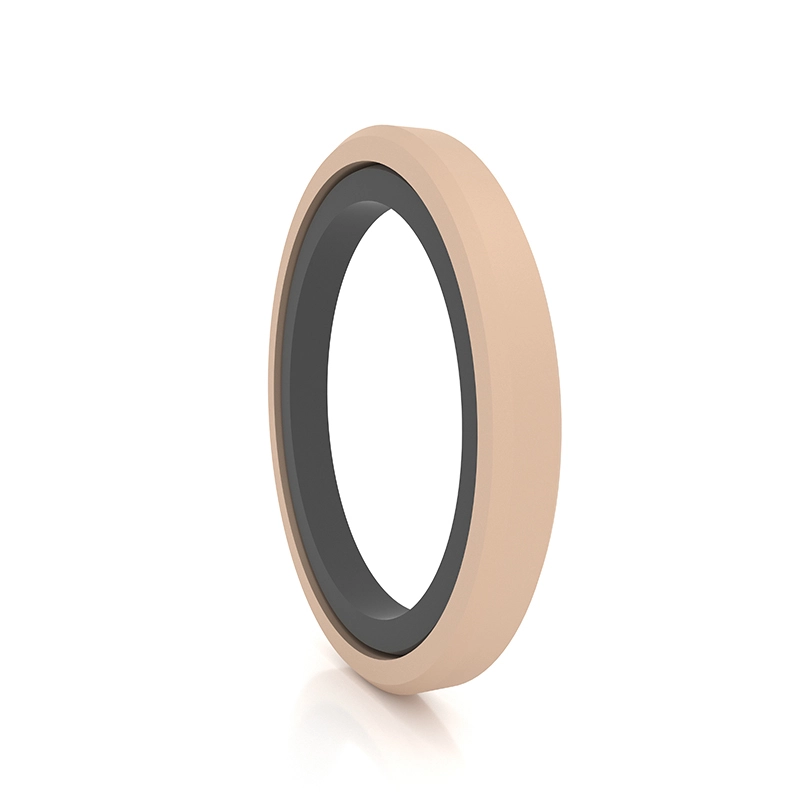 Hydraulic Seals For Piston Holes