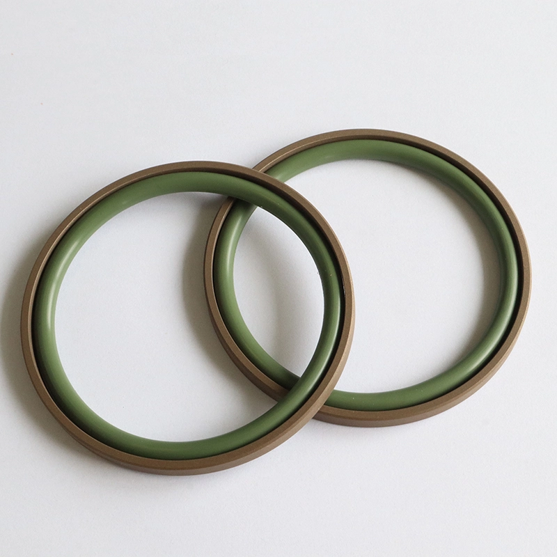 Hydraulic Seals For Piston Holes