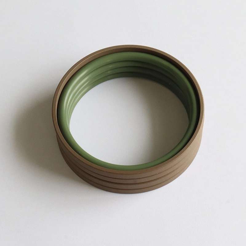 Hydraulic Seals For Piston Holes