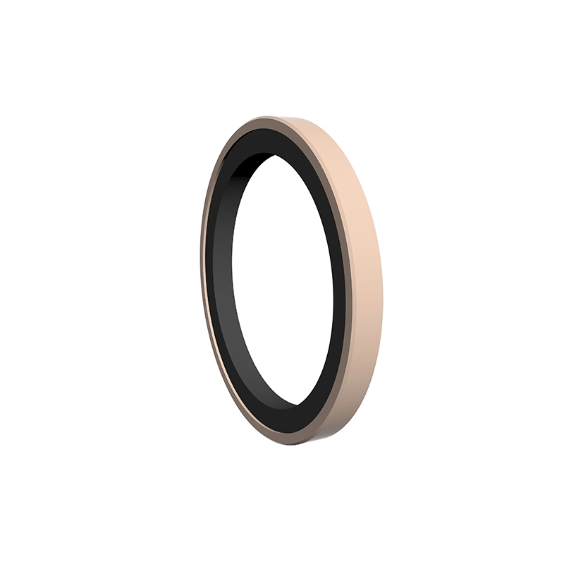 Hydraulic Seals For Piston Holes