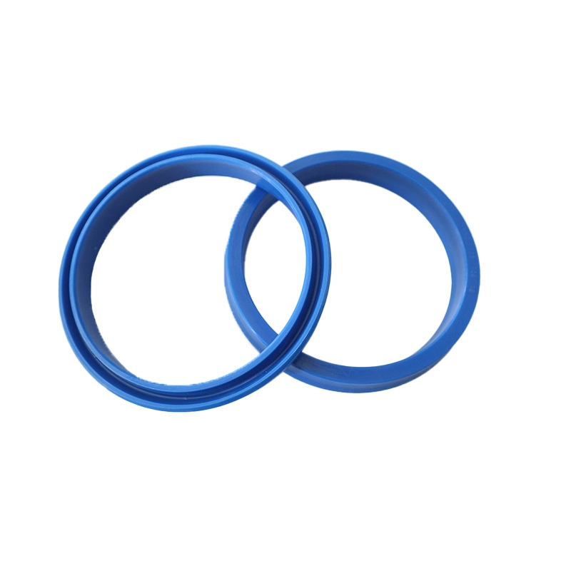 Hydraulic Seals For Piston Holes