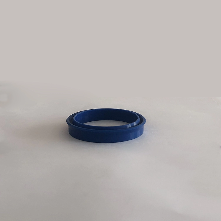 Hydraulic Seals For Piston Holes