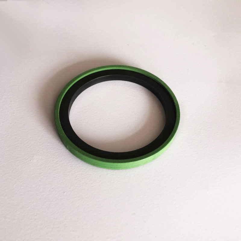 Hydraulic Seals For Piston Holes