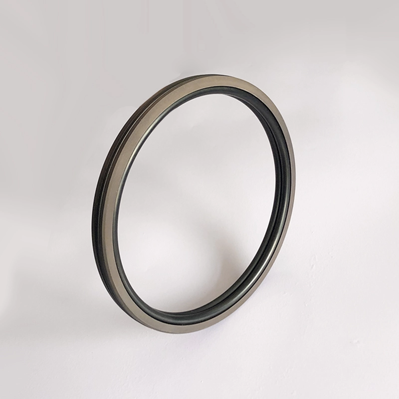 Hydraulic Seals For Piston Holes