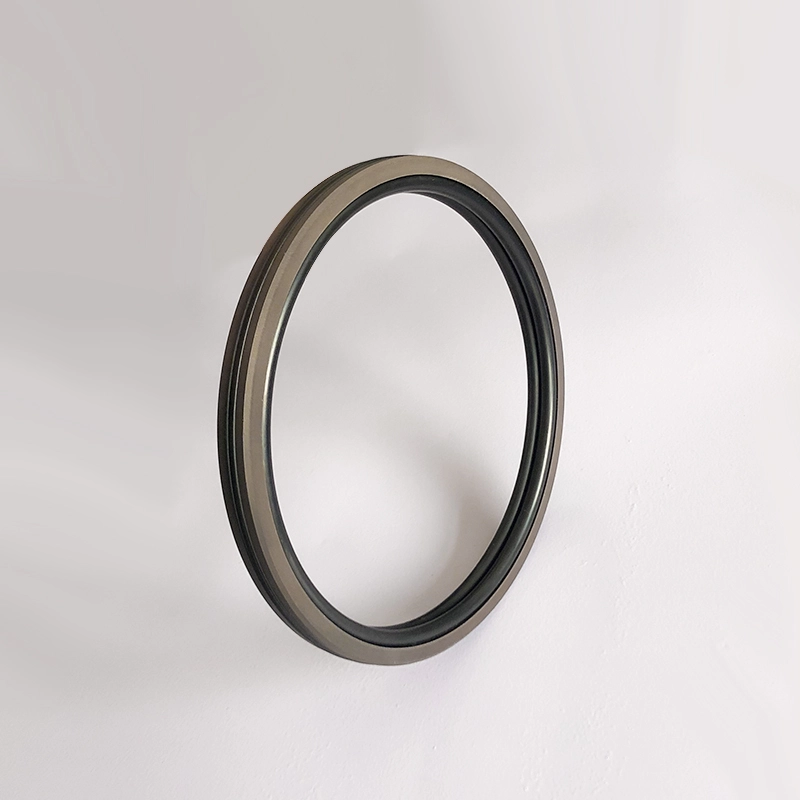 Hydraulic Seals For Piston Holes