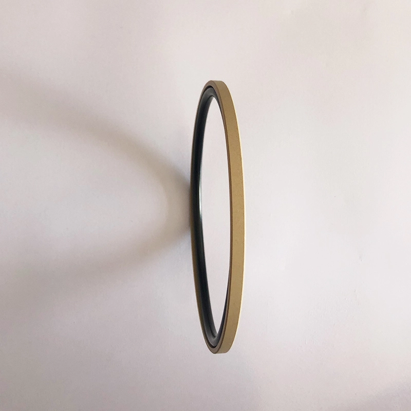 Hydraulic Seals For Piston Holes