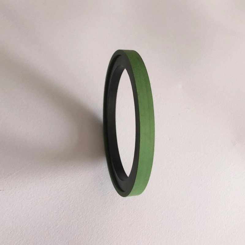 Hydraulic Seals For Piston Holes