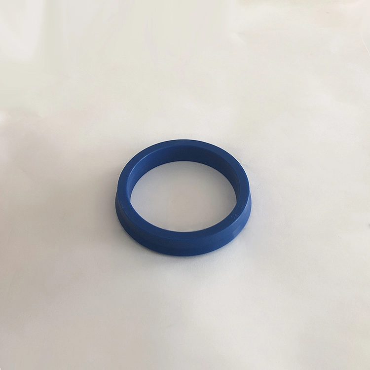 Hydraulic Seals For Piston Holes