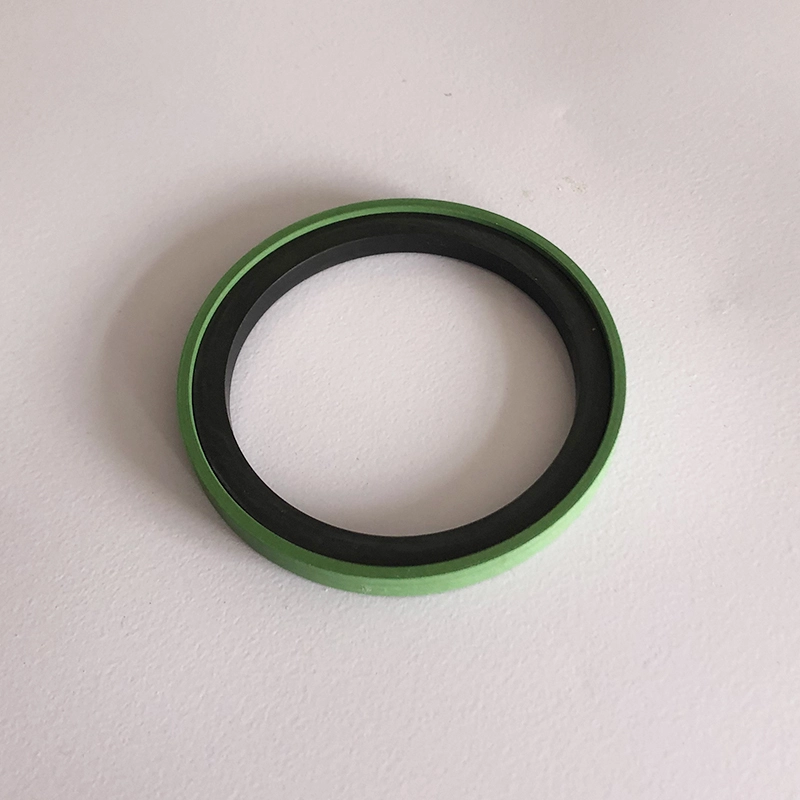 Hydraulic Seals For Piston Holes