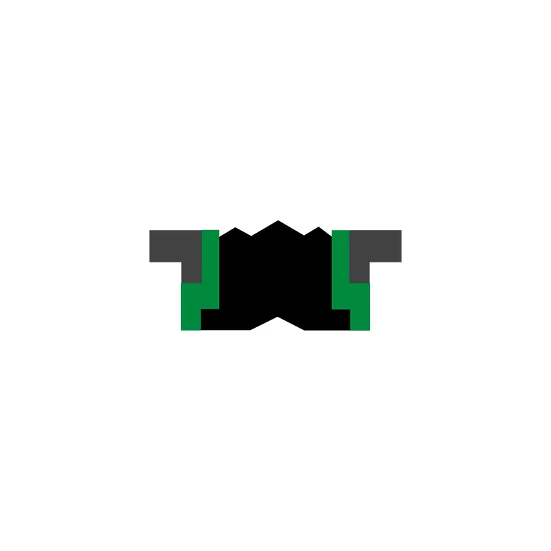 Hydraulic Seals For Piston Holes