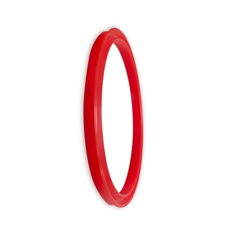 Hydraulic Seals For Piston Holes