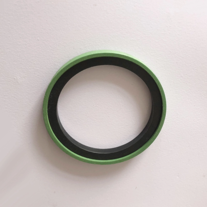 Hydraulic Seals For Piston Holes