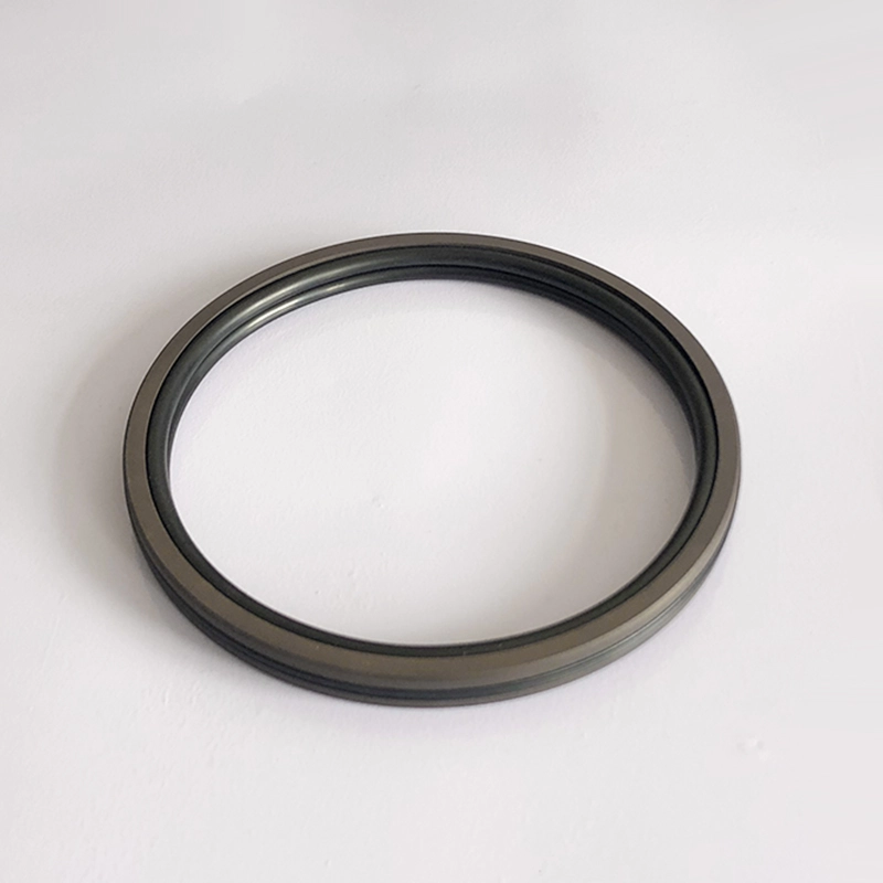 Hydraulic Seals For Piston Holes