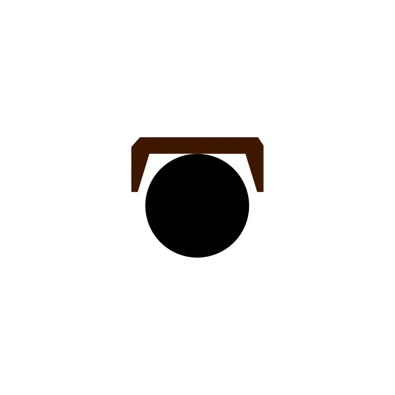 Hydraulic Seals For Piston Holes