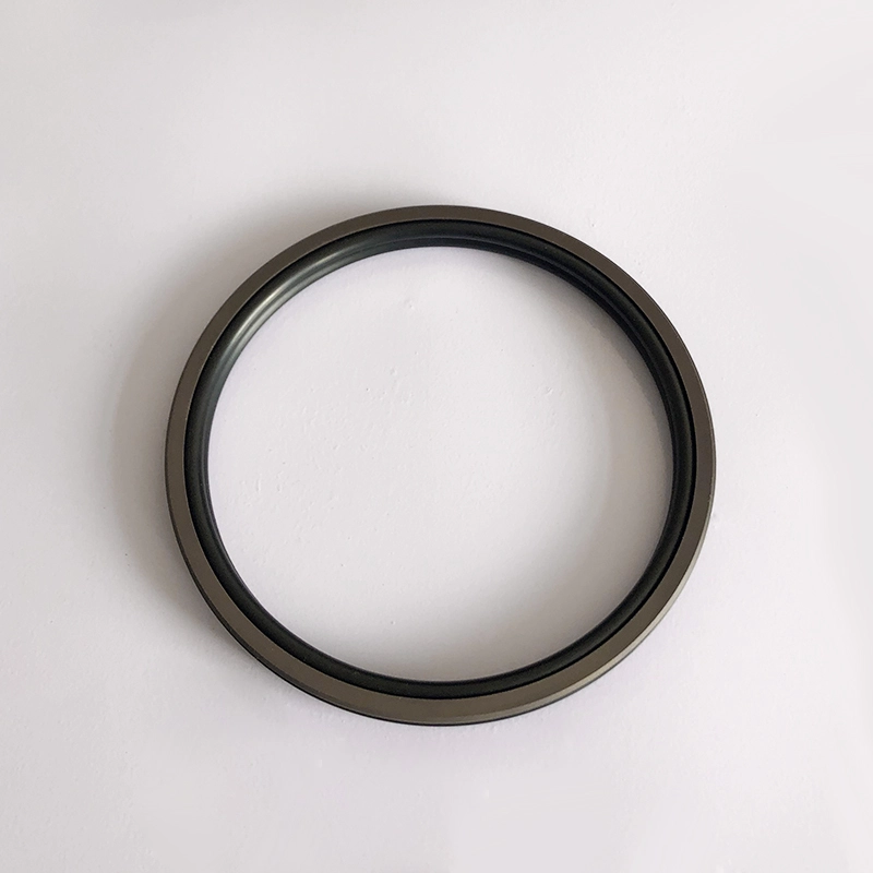 Hydraulic Seals For Piston Holes