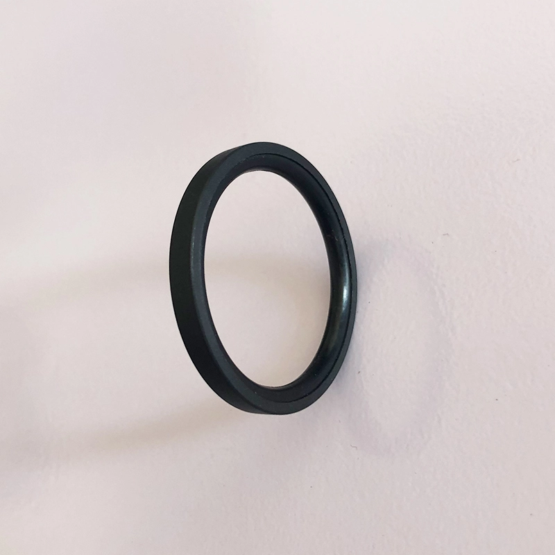 Hydraulic Seals For Piston Holes