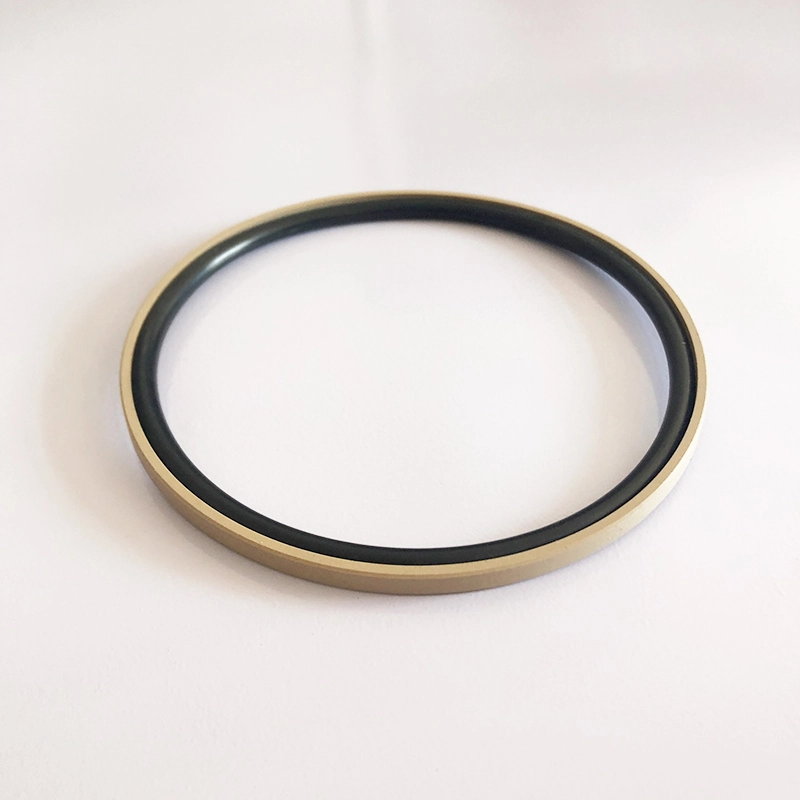 Hydraulic Seals For Piston Holes