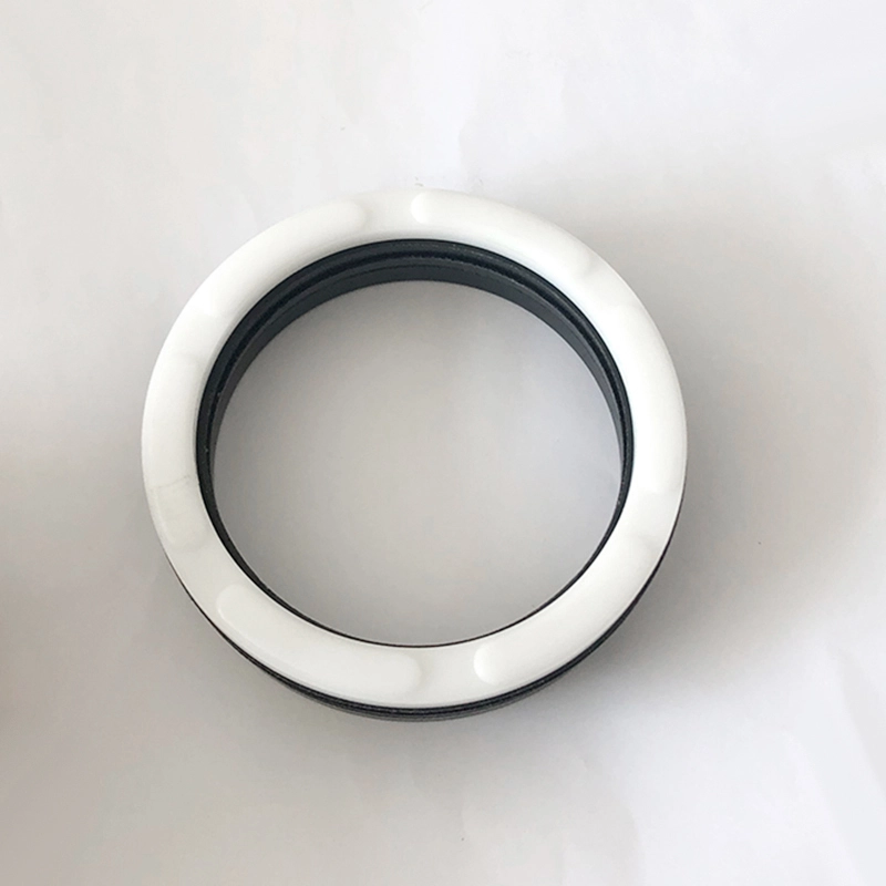 Hydraulic Seals For Piston Holes