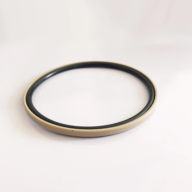 Hydraulic Seals For Piston Holes