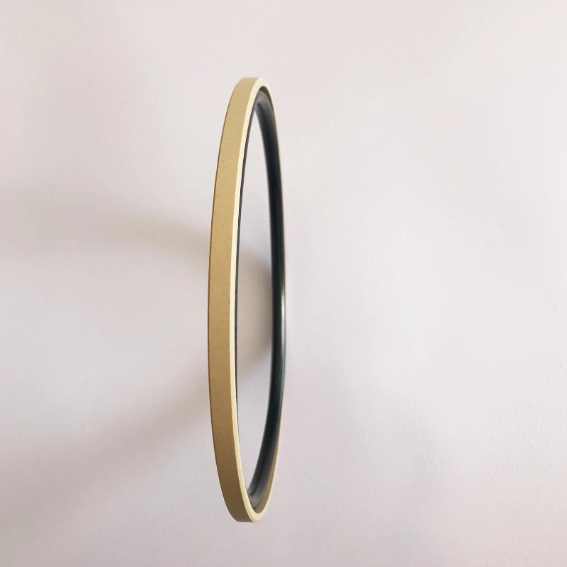 Hydraulic Seals For Piston Holes