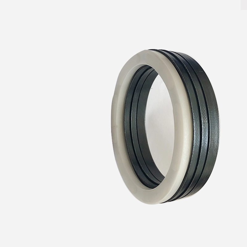 Hydraulic Seals For Piston Holes