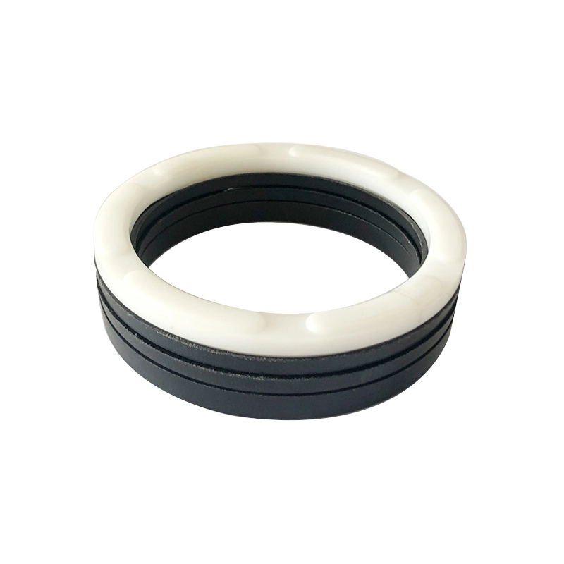 Hydraulic Seals For Piston Holes