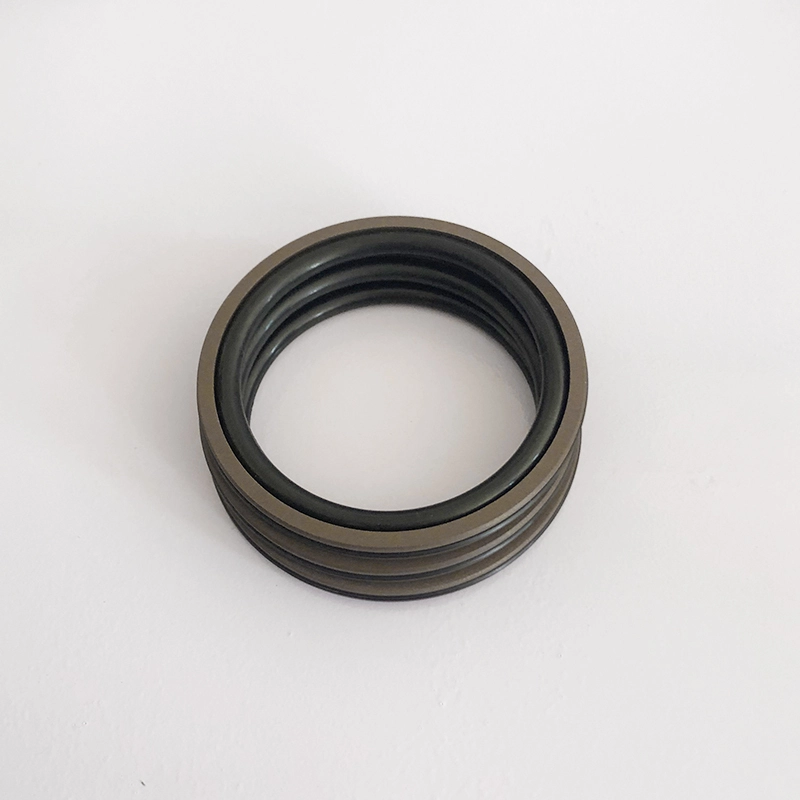 Hydraulic Seals For Piston Holes