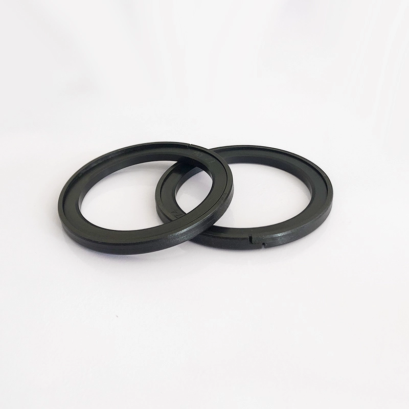 Hydraulic Seals For Piston Holes