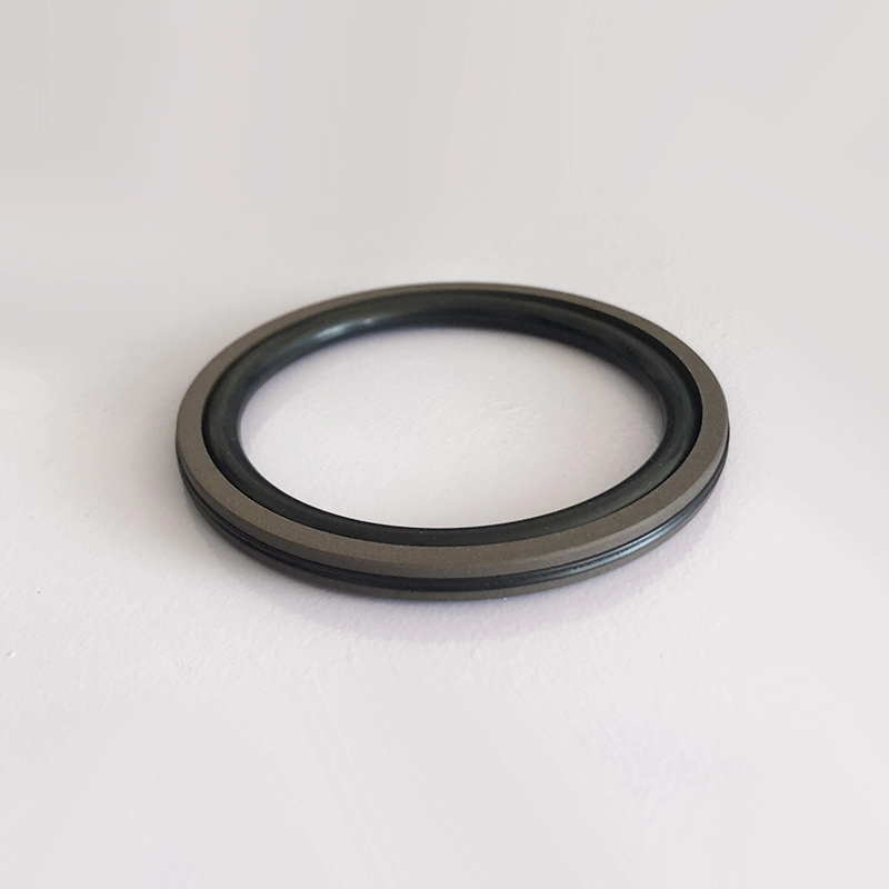 Hydraulic Seals For Piston Holes
