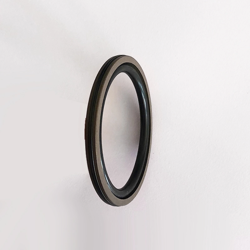 Hydraulic Seals For Piston Holes