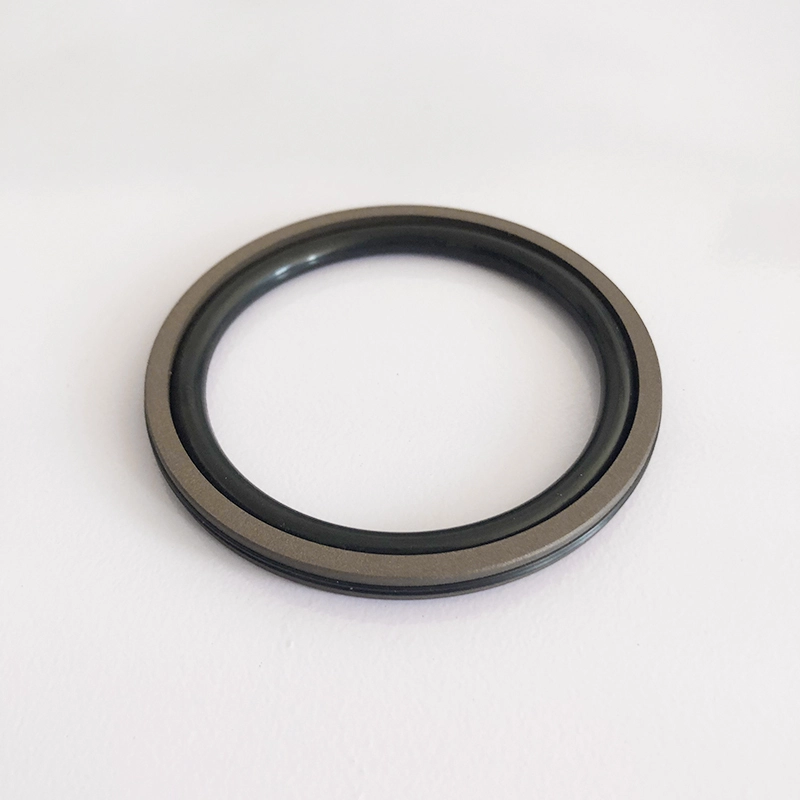 Hydraulic Seals For Piston Holes