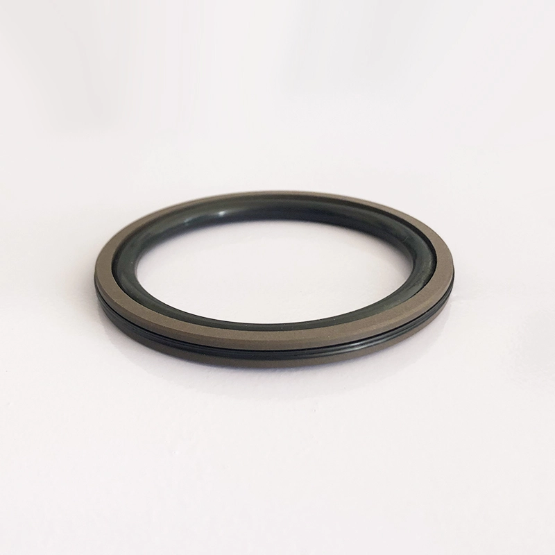 Hydraulic Seals For Piston Holes