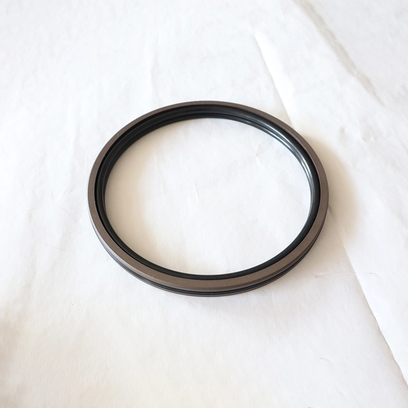 Hydraulic Seals For Piston Holes