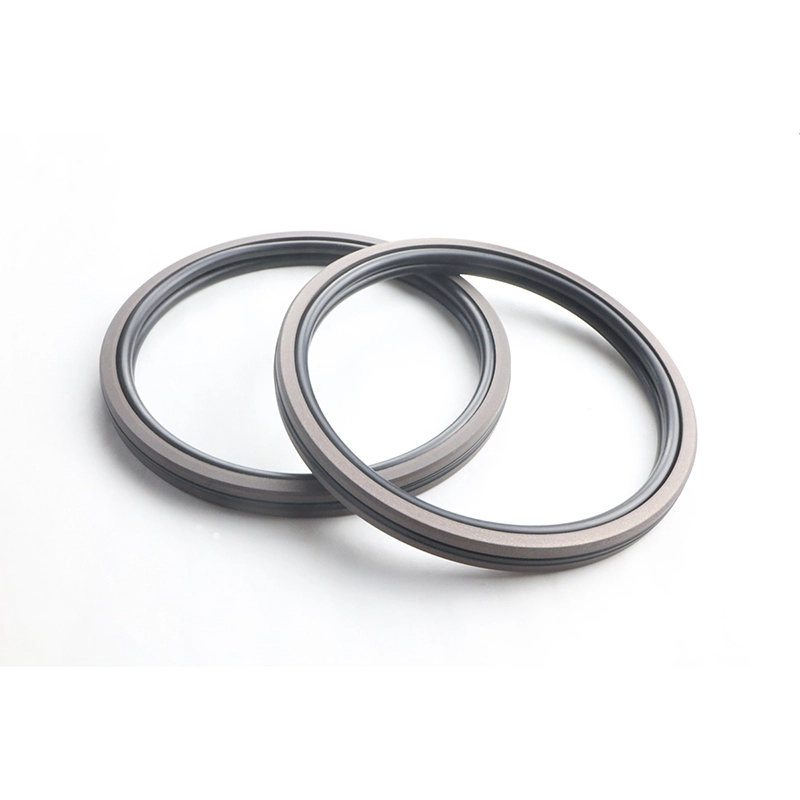 Hydraulic Seals For Piston Holes