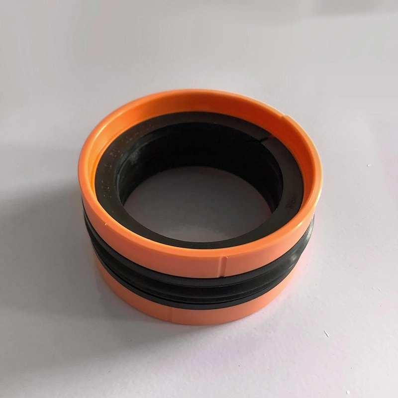 Hydraulic Seals For Piston Holes