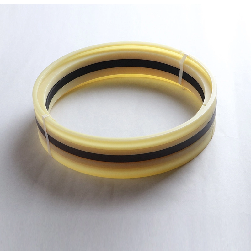 Hydraulic Seals For Piston Holes