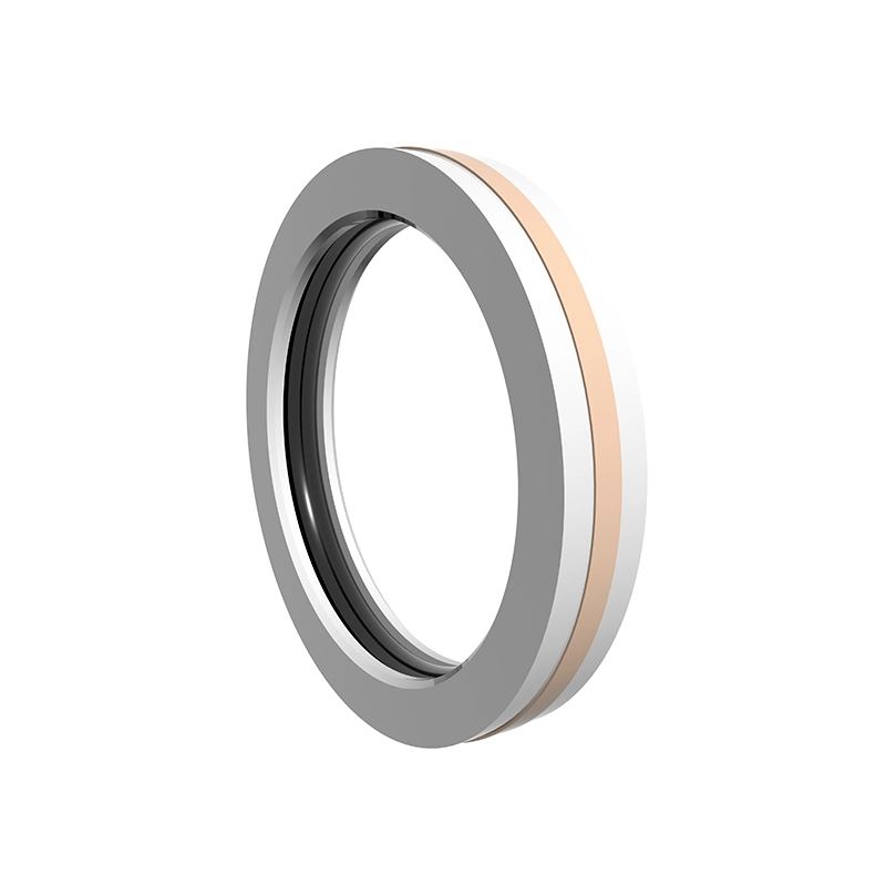 Hydraulic Seals For Piston Holes