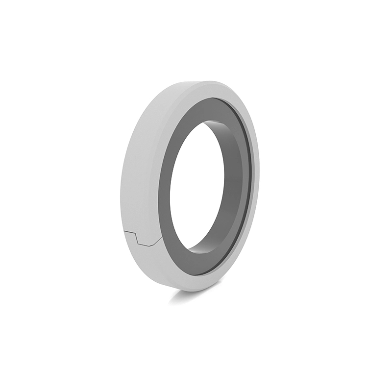 Hydraulic Seals For Piston Holes