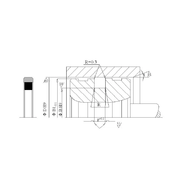 Hydraulic Seals For Piston Holes