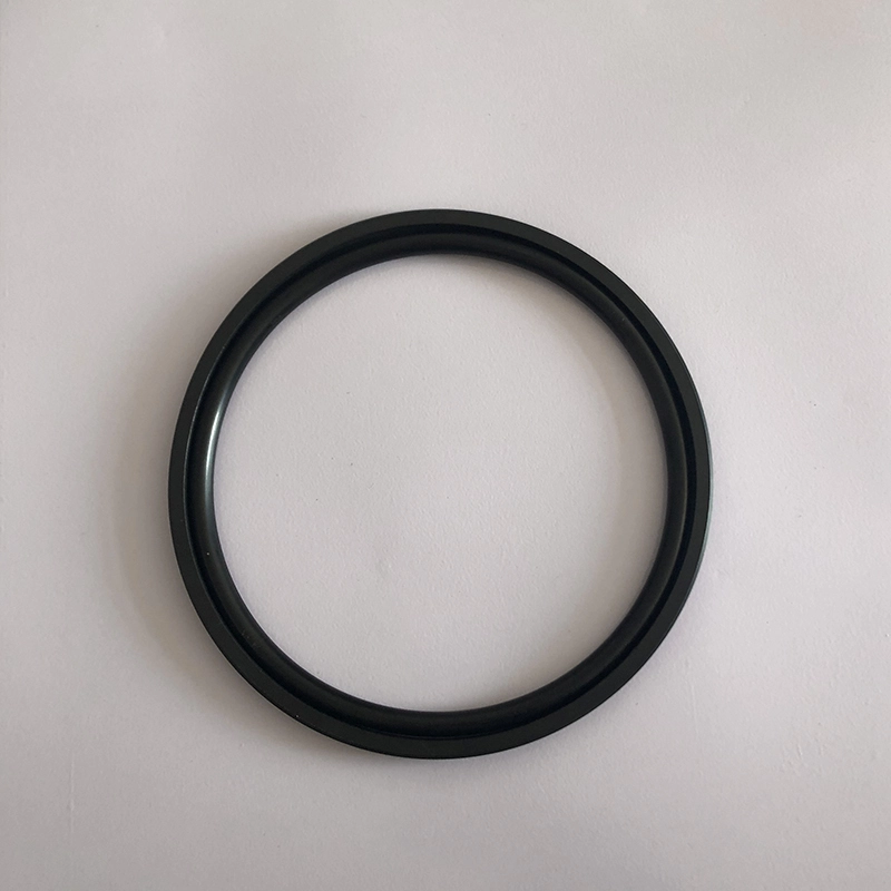 Hydraulic Seals For Piston Holes
