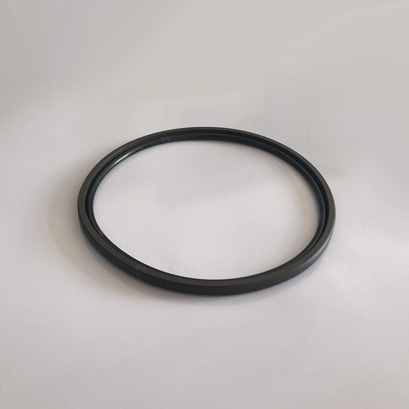 Hydraulic Seals For Piston Holes