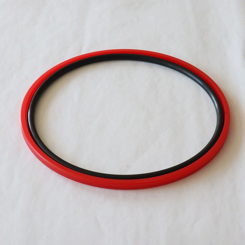 Hydraulic Seals For Piston Holes