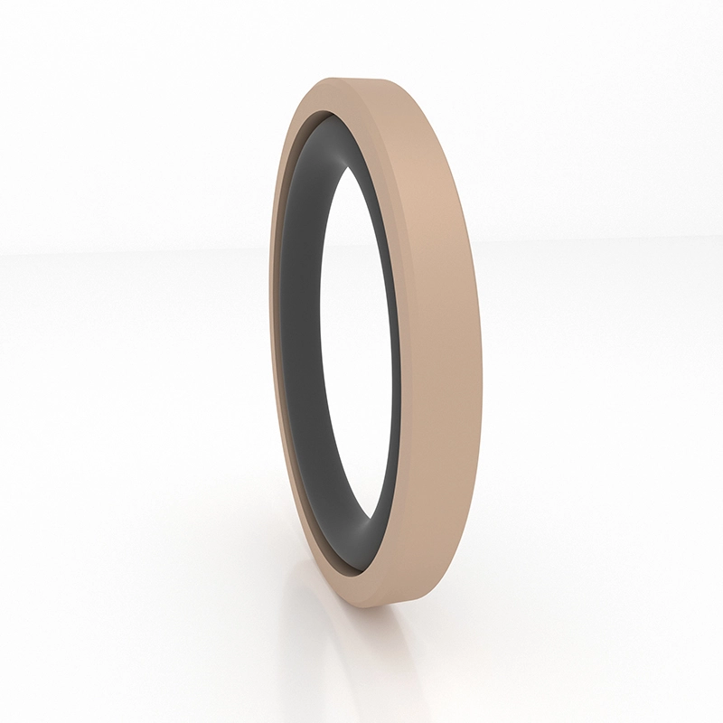 Hydraulic Seals For Piston Holes